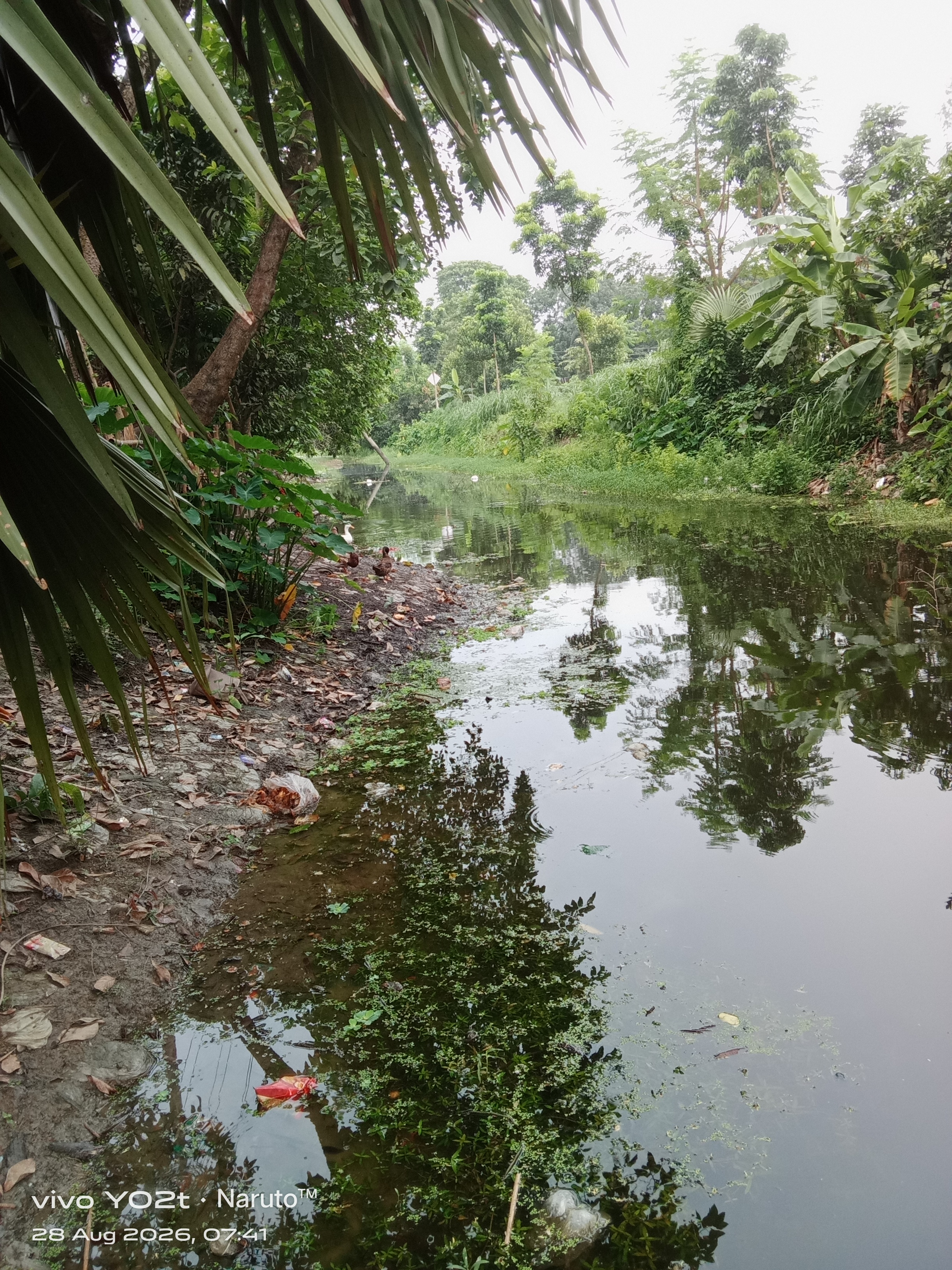 আগের অবস্থা