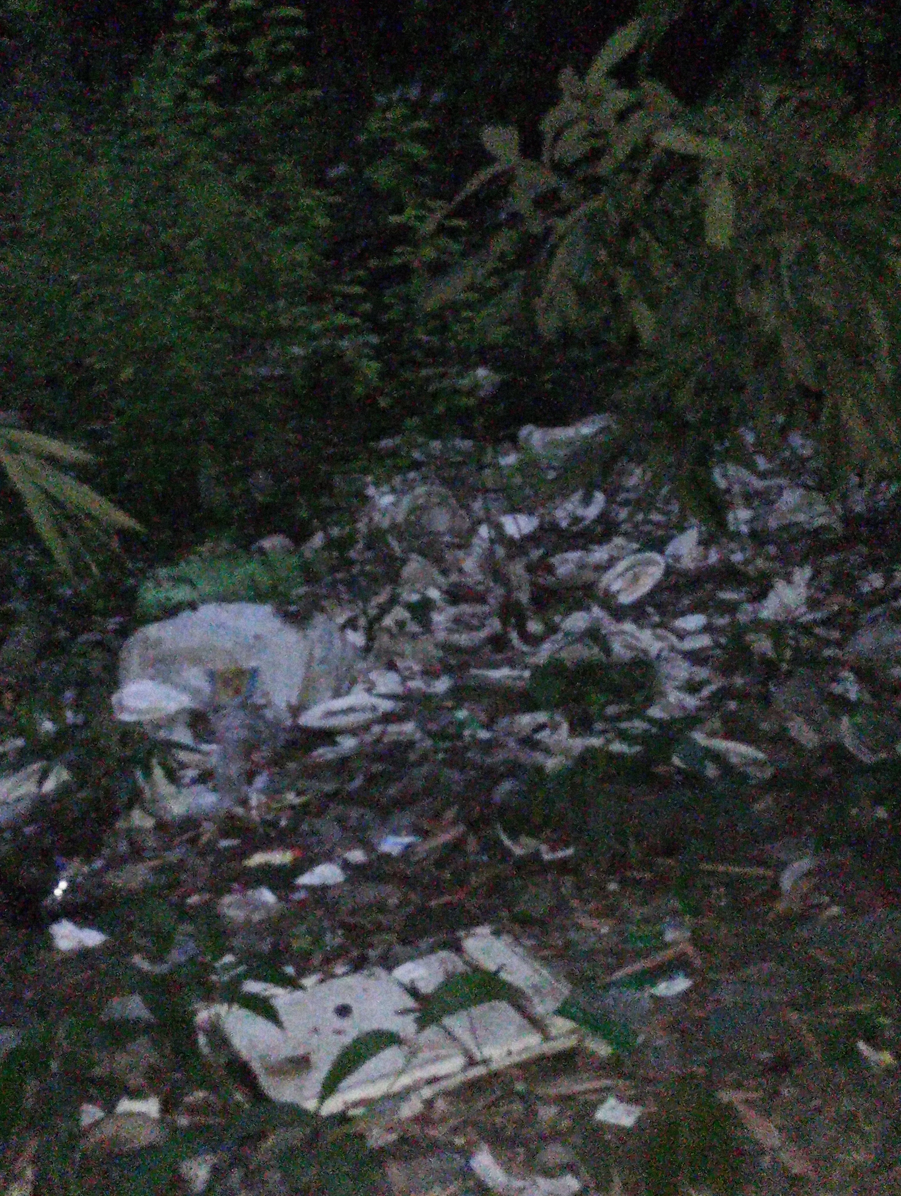 আগের অবস্থা