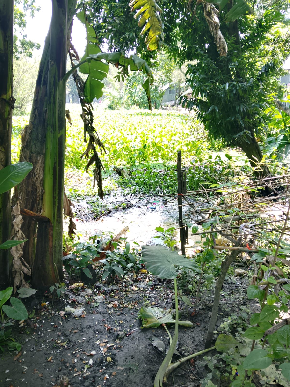আগের অবস্থা