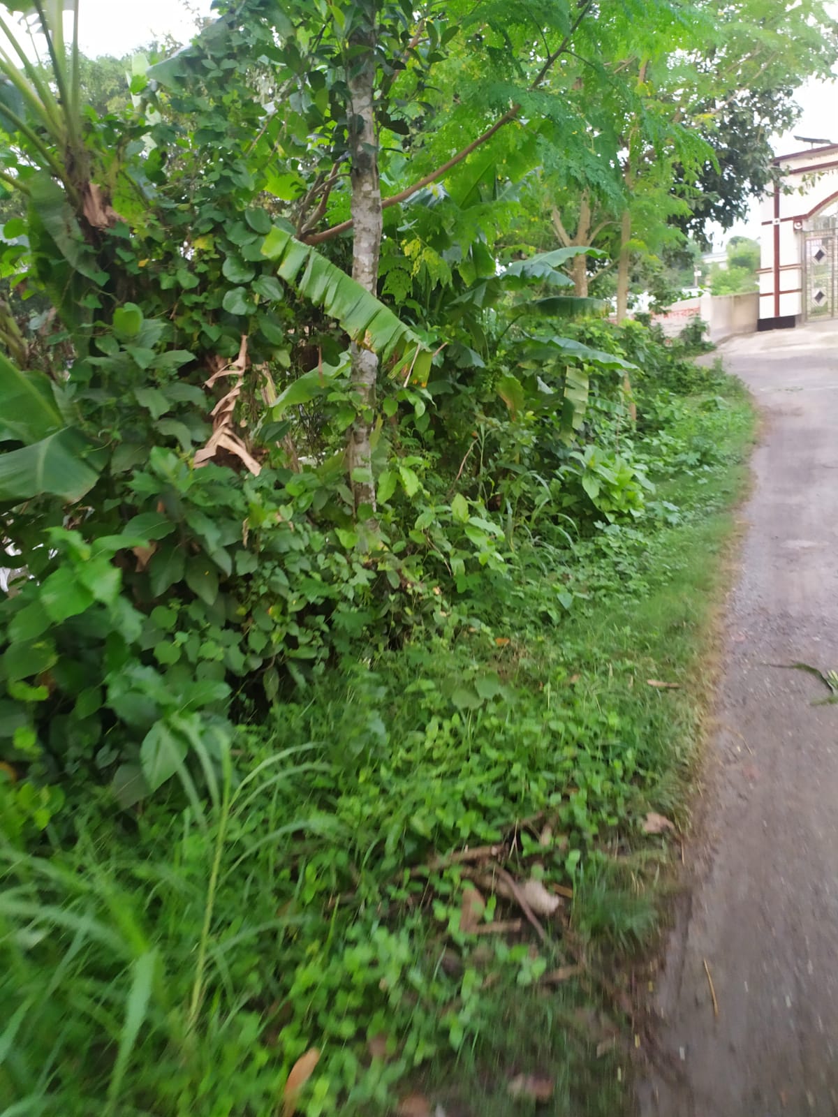 আগের অবস্থা