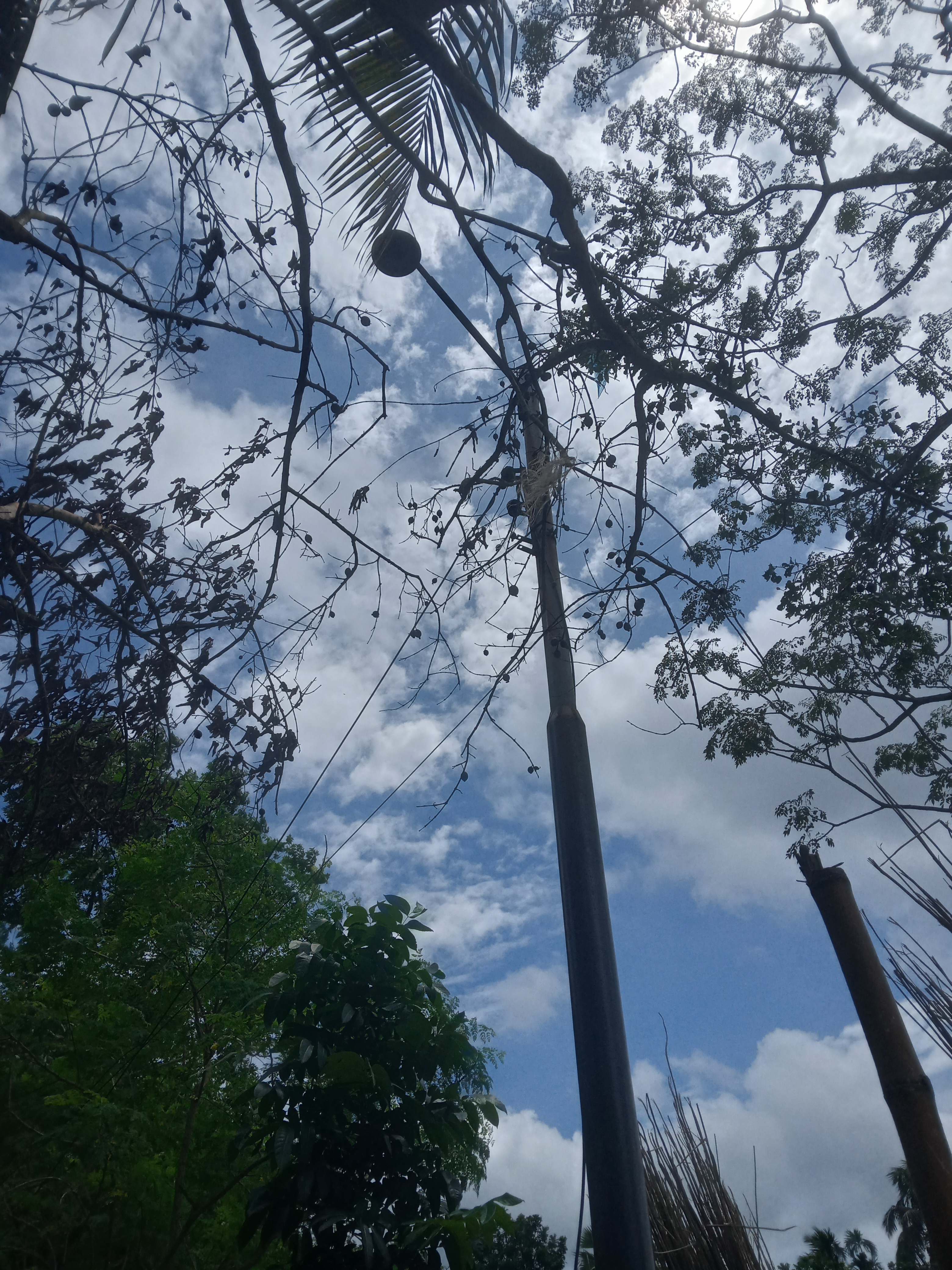 আগের অবস্থা