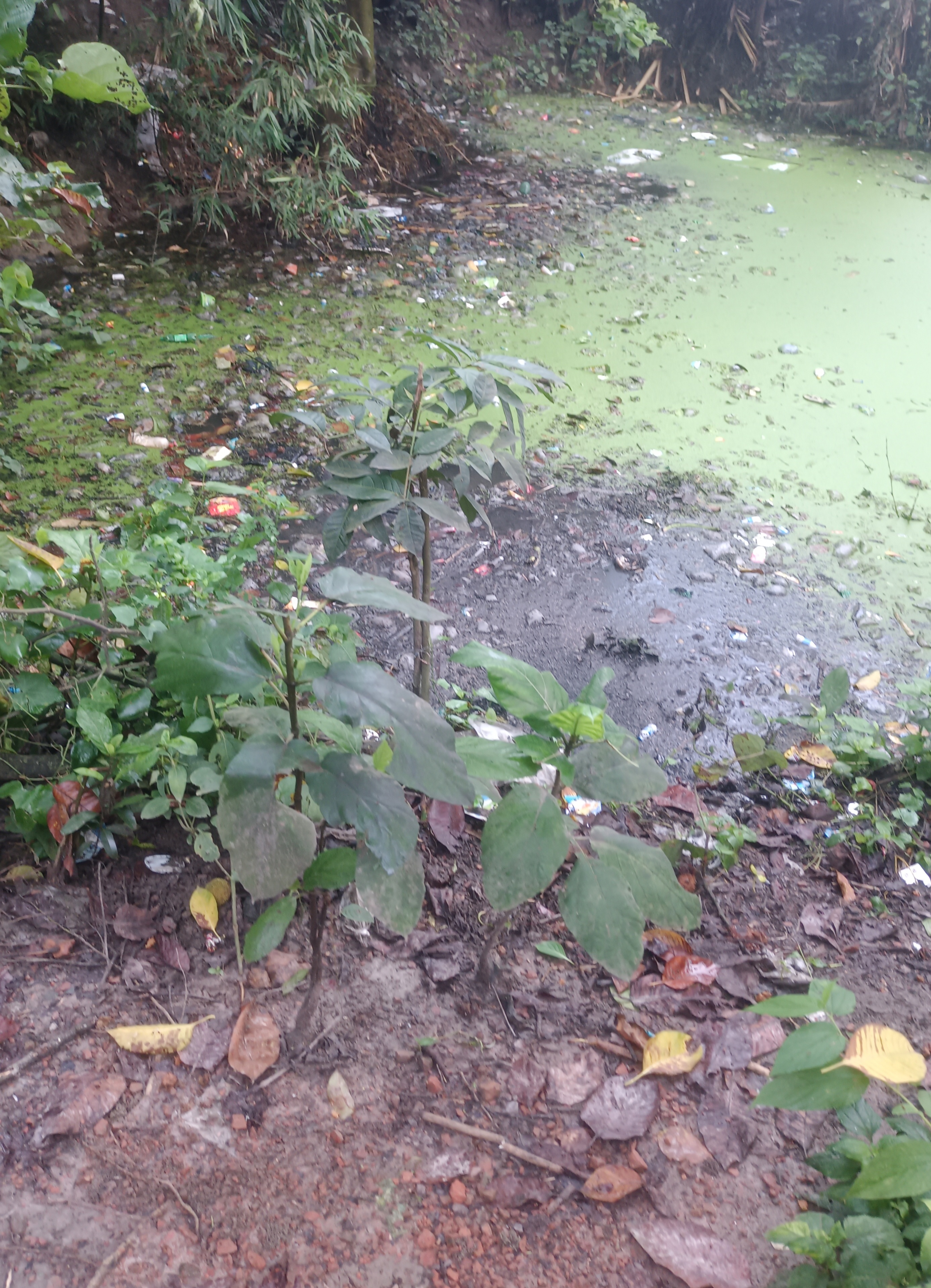 আগের অবস্থা