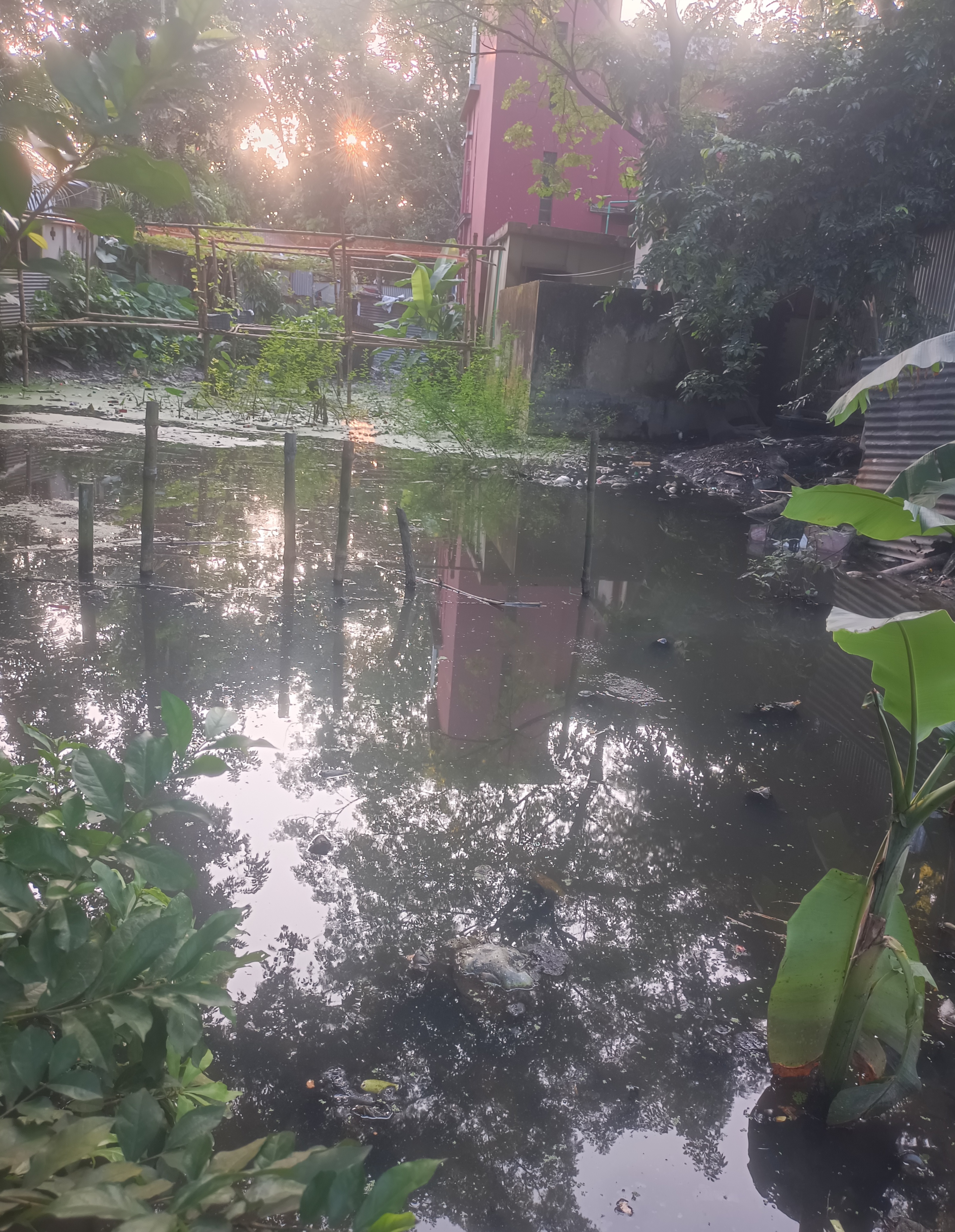 আগের অবস্থা