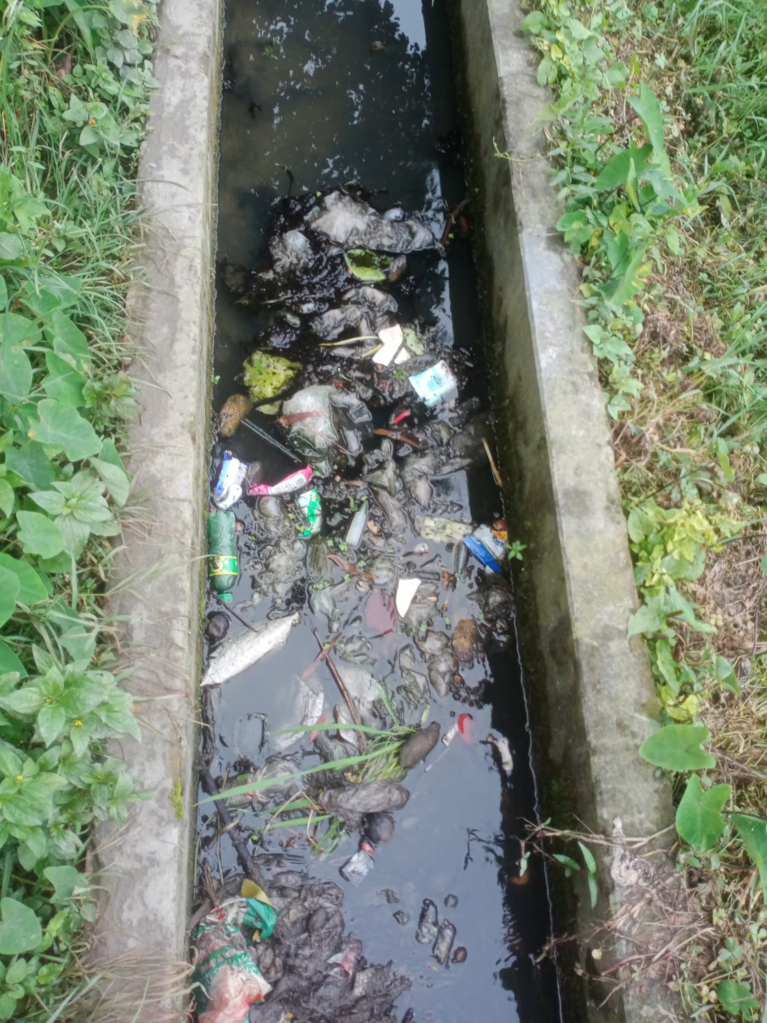 আগের অবস্থা